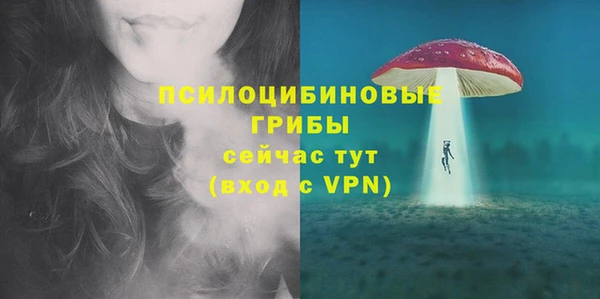скорость Козловка