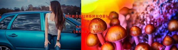 СК Козельск