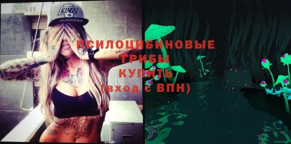 СК Козельск