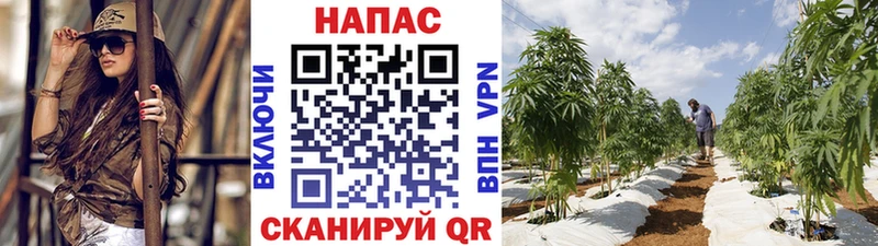 Купить где  Сосногорск  Каннабис конопля 